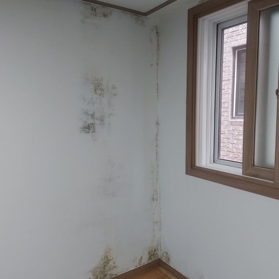 양평 인근 곰팡이 제거 시공 전 — 남양주 아파트 외벽·창틀 주변 결로성 곰팡이 제거 및 항균 단열