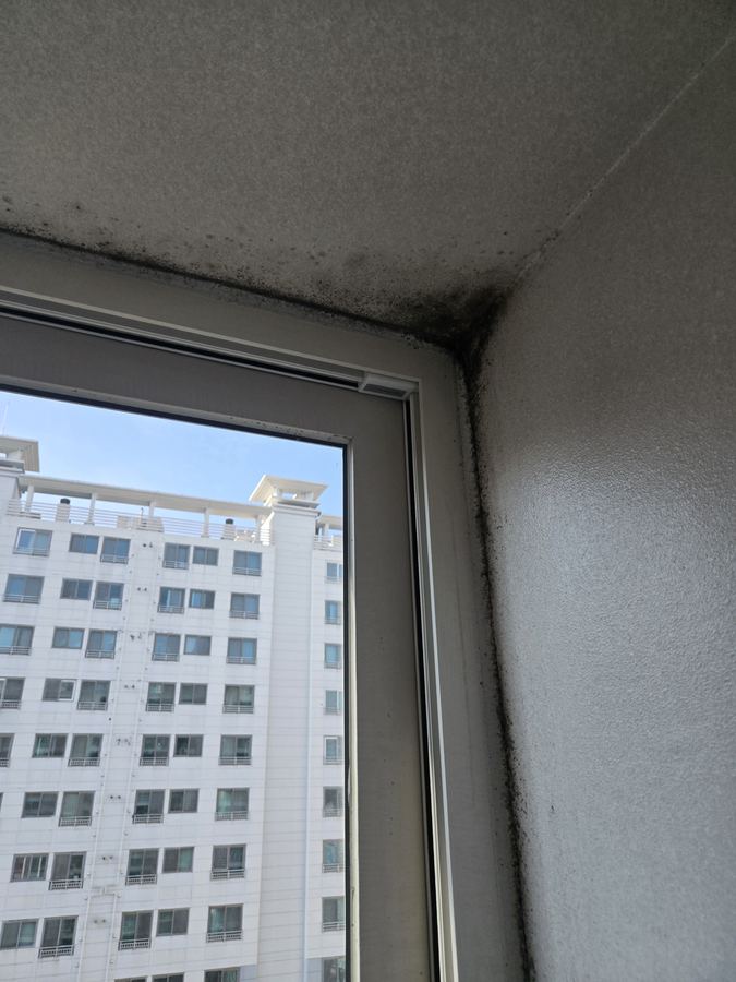 서울 인근 곰팡이 제거 시공 전 — 성동구 아파트 베란다 결로성 곰팡이 제거 및 재발 방지 공사