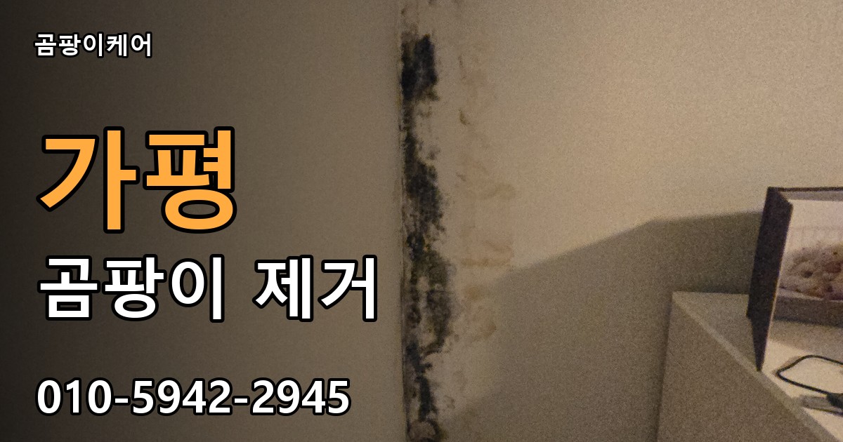 가평 곰팡이제거 — 곰팡이케어