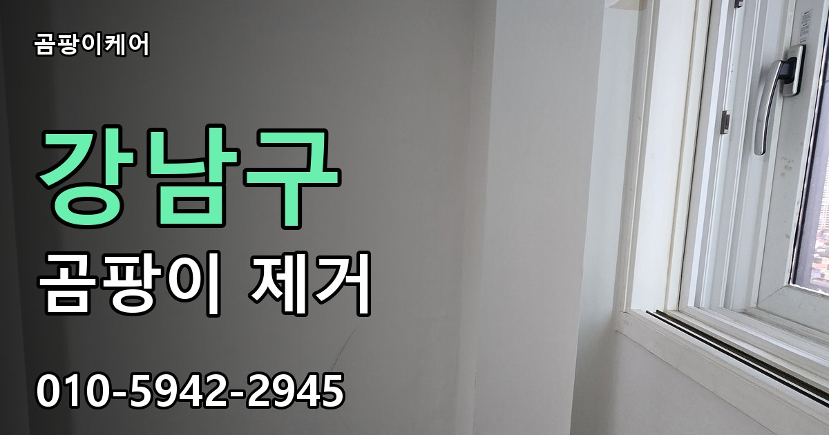 강남구 곰팡이제거 — 곰팡이케어