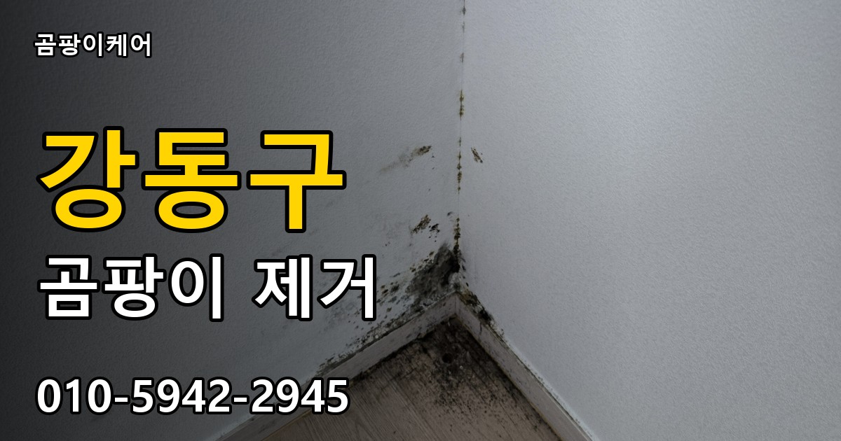 강동구 곰팡이제거 — 곰팡이케어