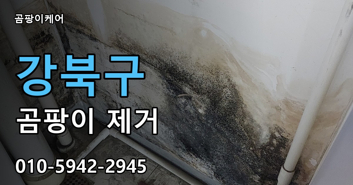 강북구 곰팡이제거 — 곰팡이케어