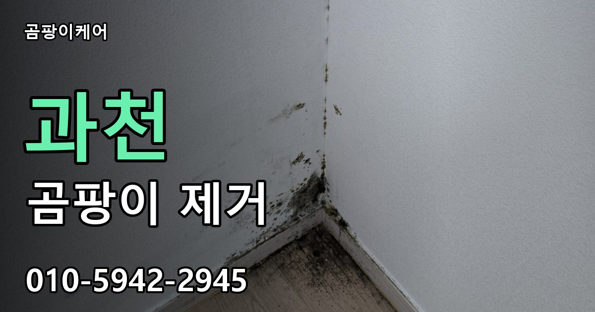 과천 곰팡이제거 — 곰팡이케어