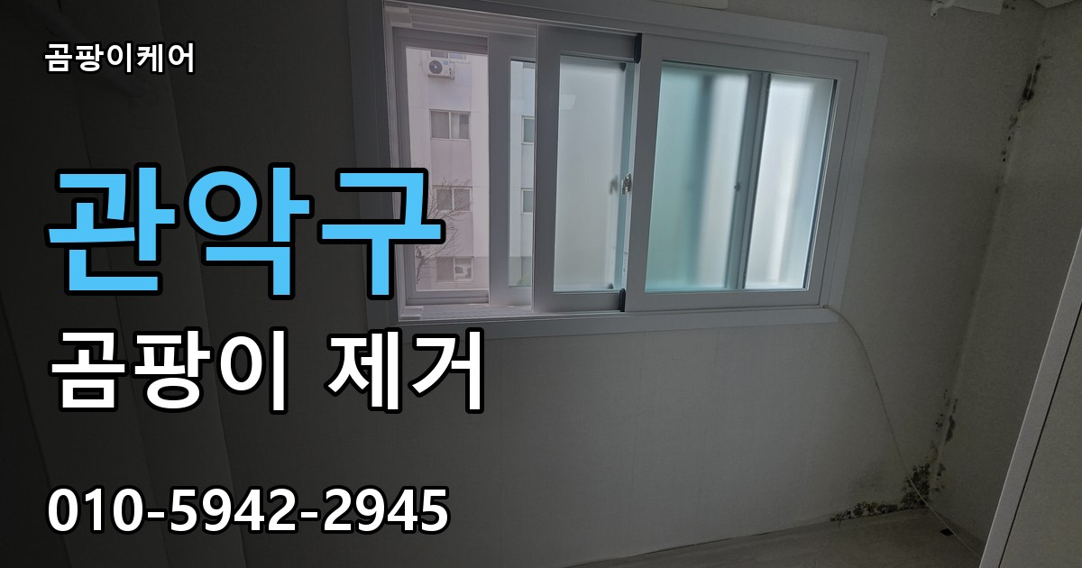 관악구 곰팡이제거 — 곰팡이케어