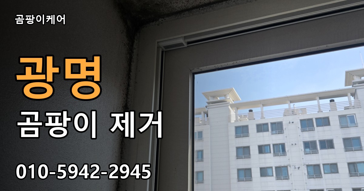 광명 곰팡이제거 — 곰팡이케어