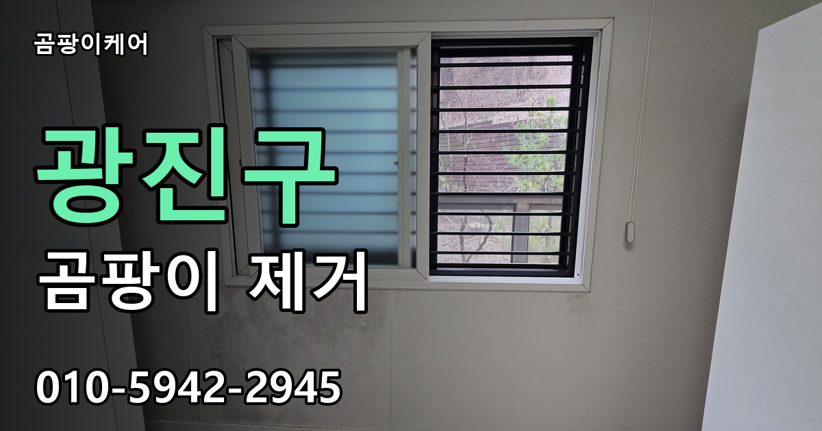 광진구 곰팡이제거 — 곰팡이케어