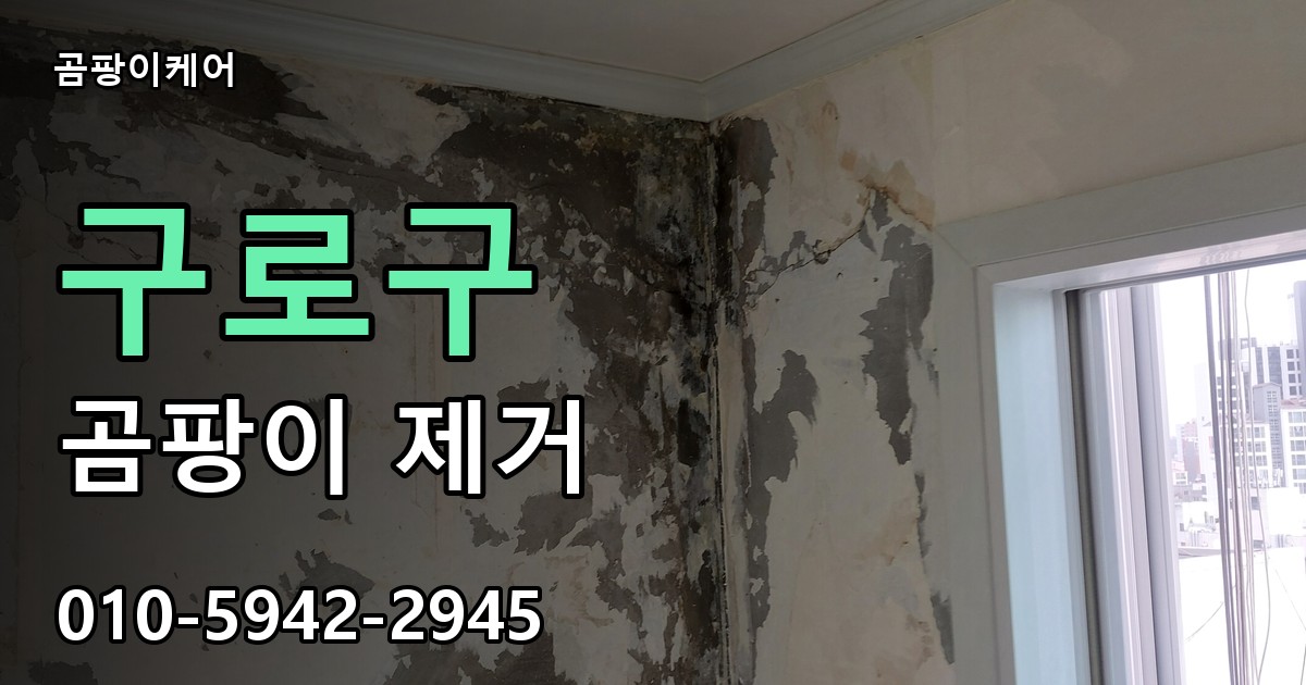 구로구 곰팡이제거 — 곰팡이케어