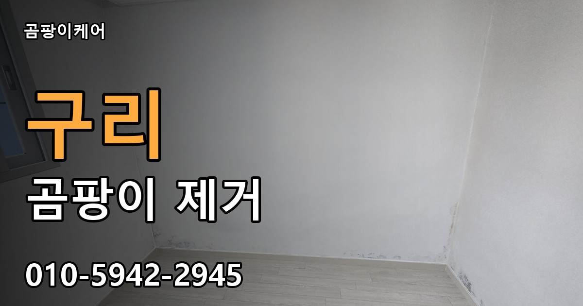 구리 곰팡이제거 — 곰팡이케어
