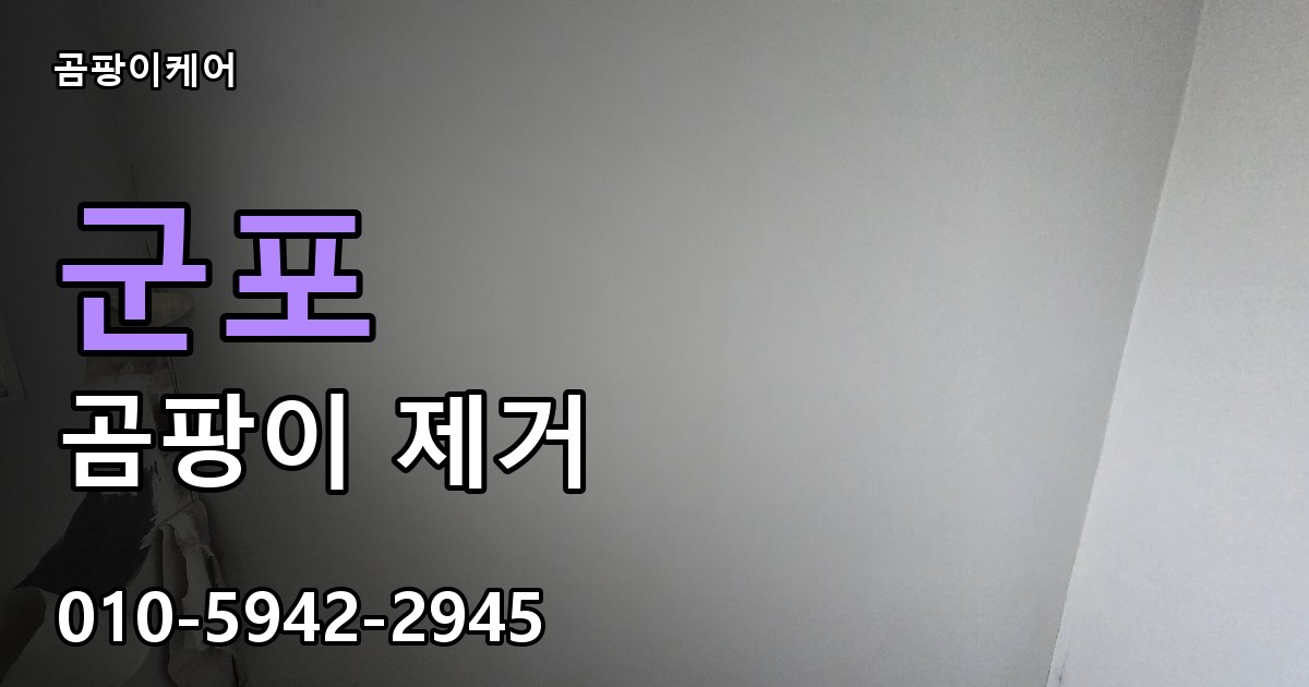 군포 곰팡이제거 — 곰팡이케어