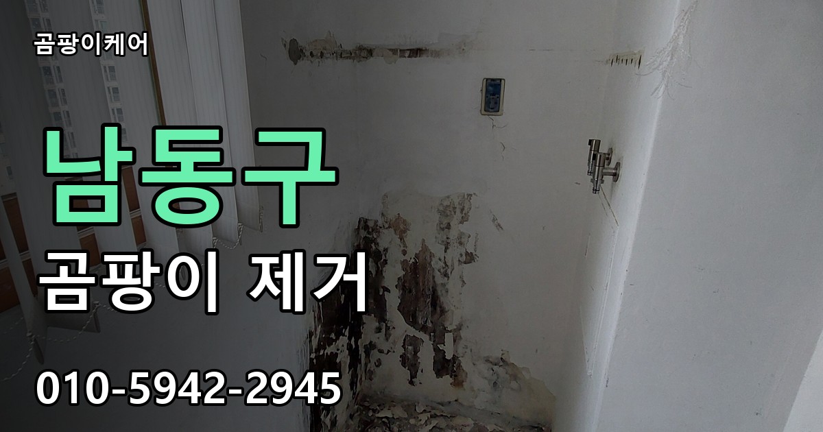 남동구 곰팡이제거 — 곰팡이케어
