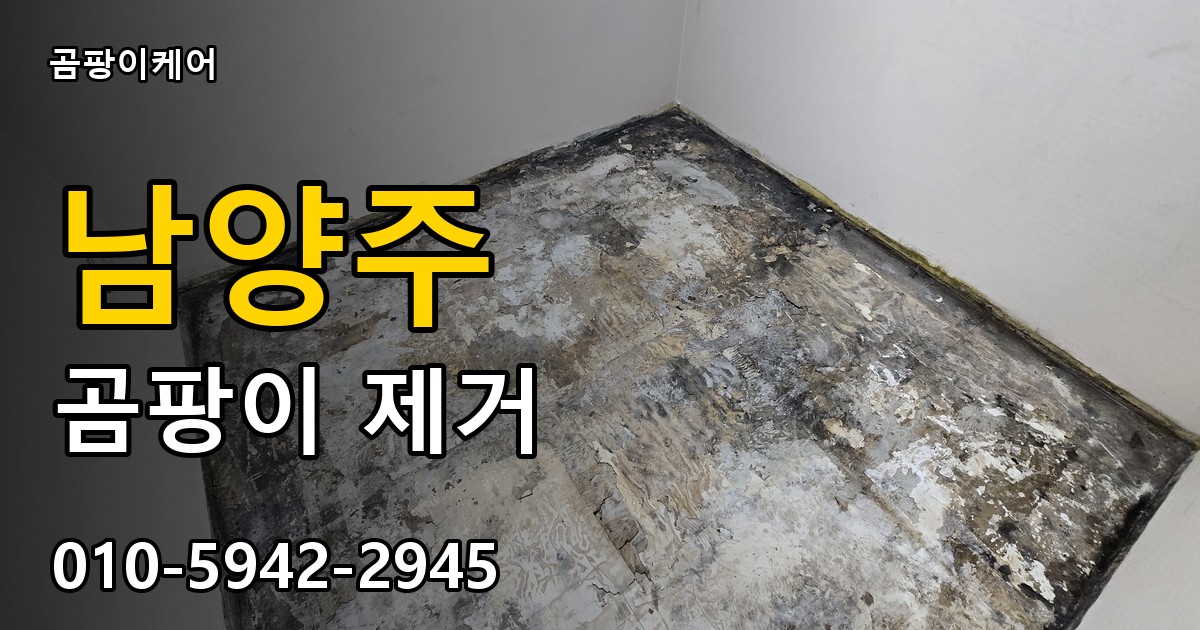 남양주 곰팡이제거 — 곰팡이케어