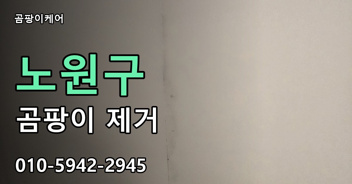 노원구 곰팡이제거 — 곰팡이케어