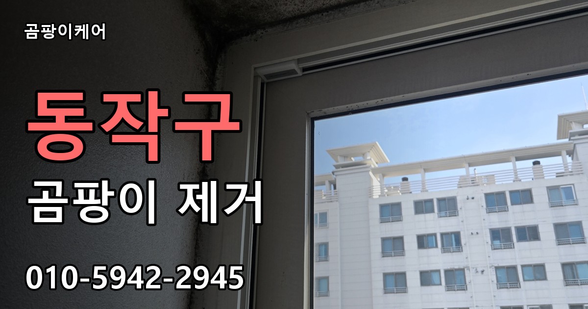 동작구 곰팡이제거 — 곰팡이케어