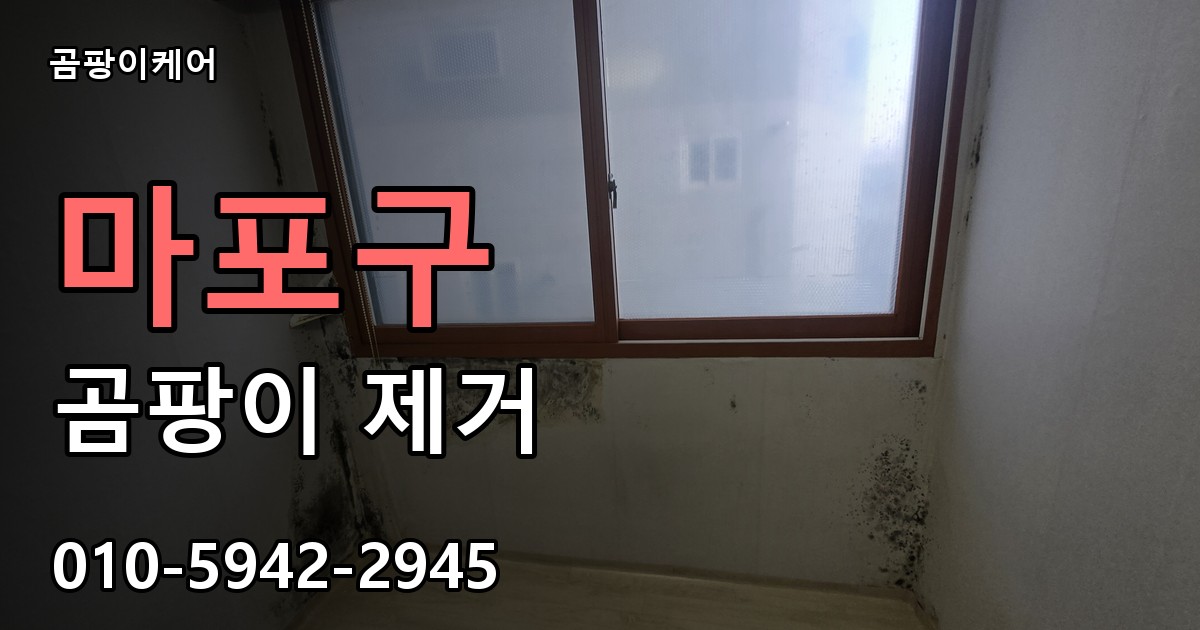 마포구 곰팡이제거 — 곰팡이케어