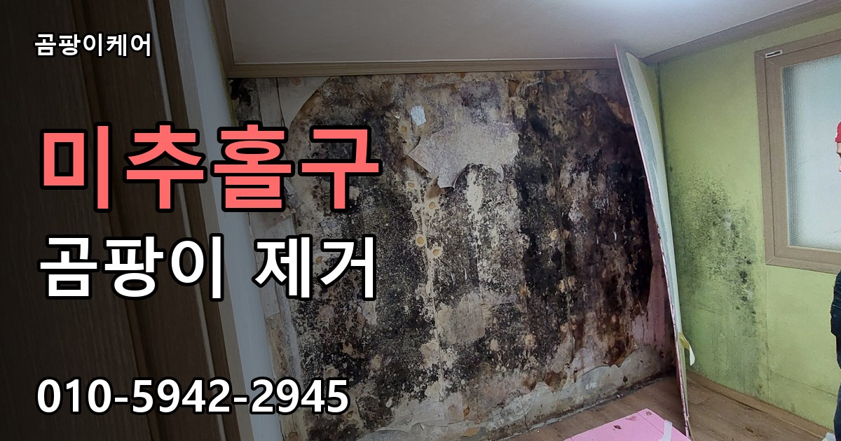 미추홀구 곰팡이제거 — 곰팡이케어
