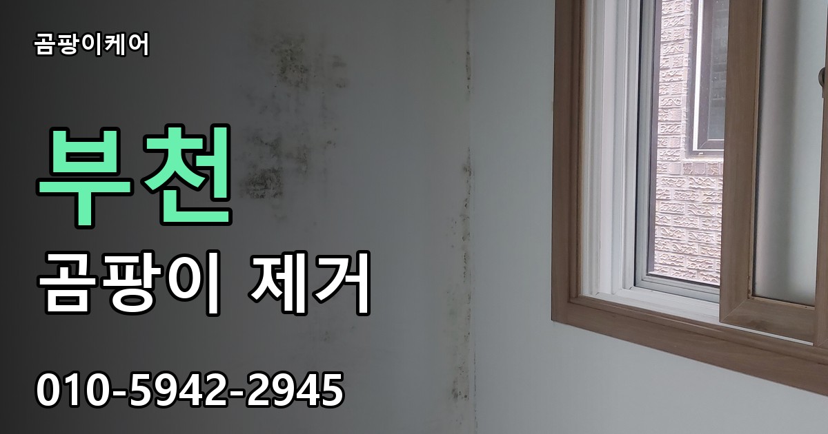 부천 곰팡이제거 — 곰팡이케어