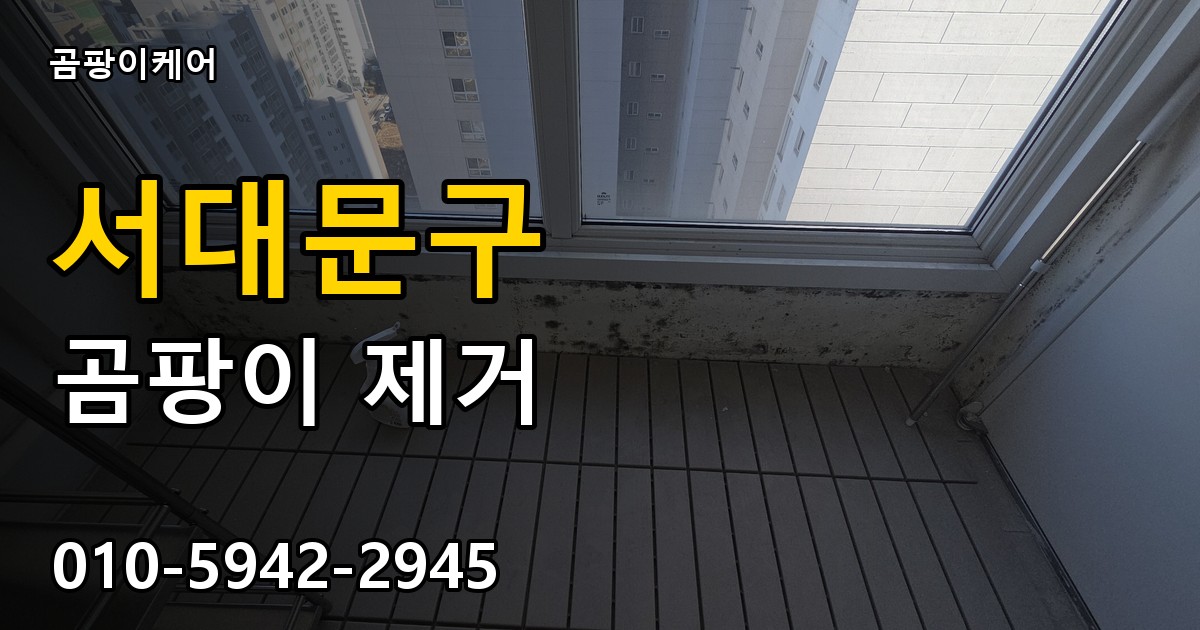 서대문구 곰팡이제거 — 곰팡이케어