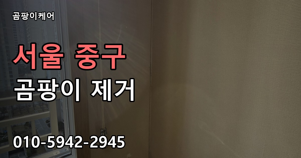 서울 중구 곰팡이제거 — 곰팡이케어