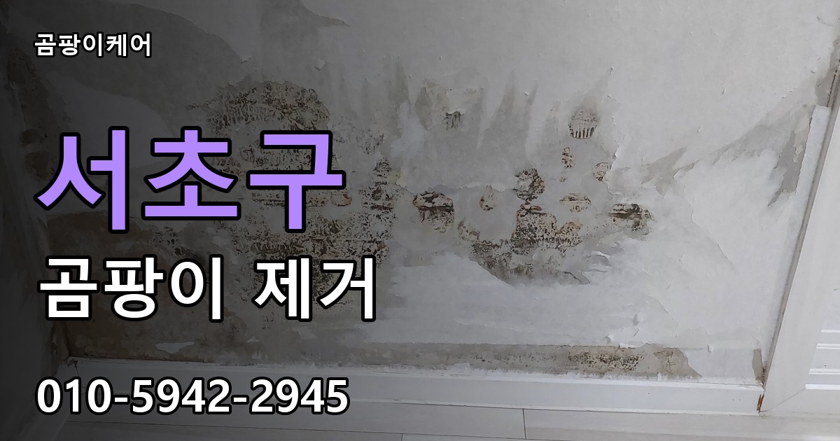 서초구 곰팡이제거 — 곰팡이케어