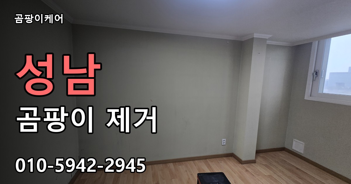 성남 곰팡이제거 — 곰팡이케어