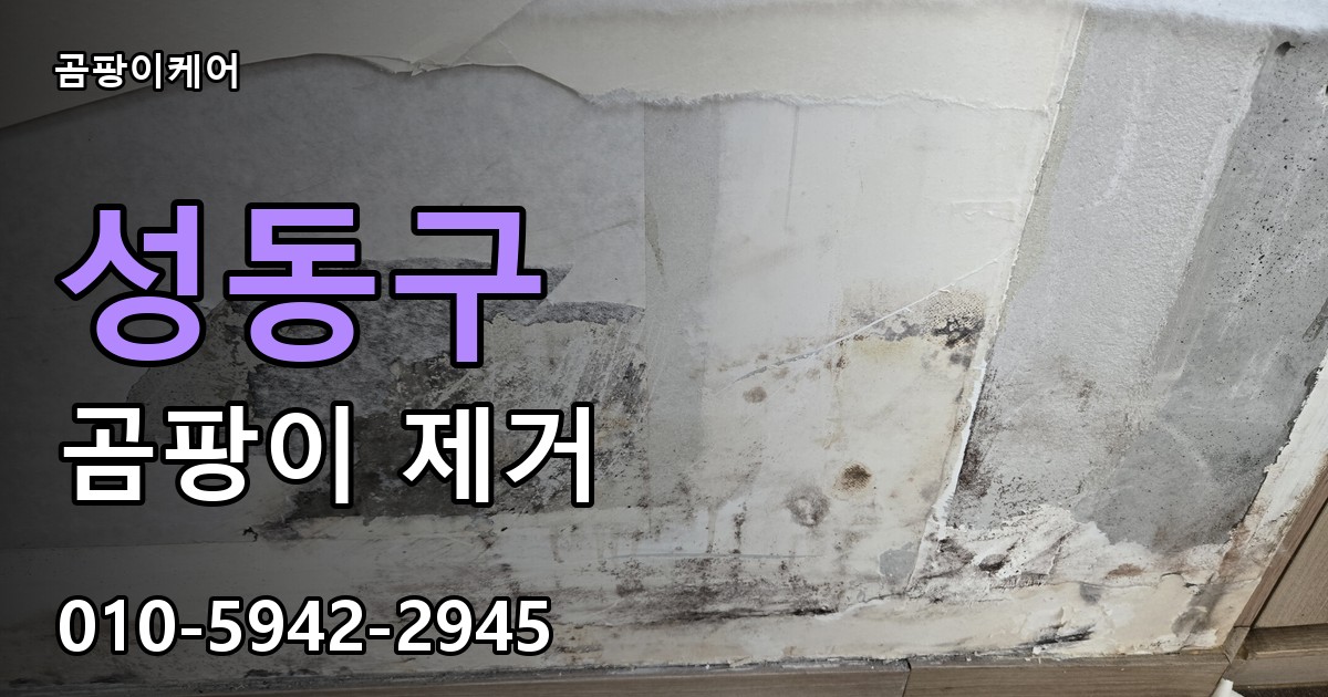 성동구 곰팡이제거 — 곰팡이케어