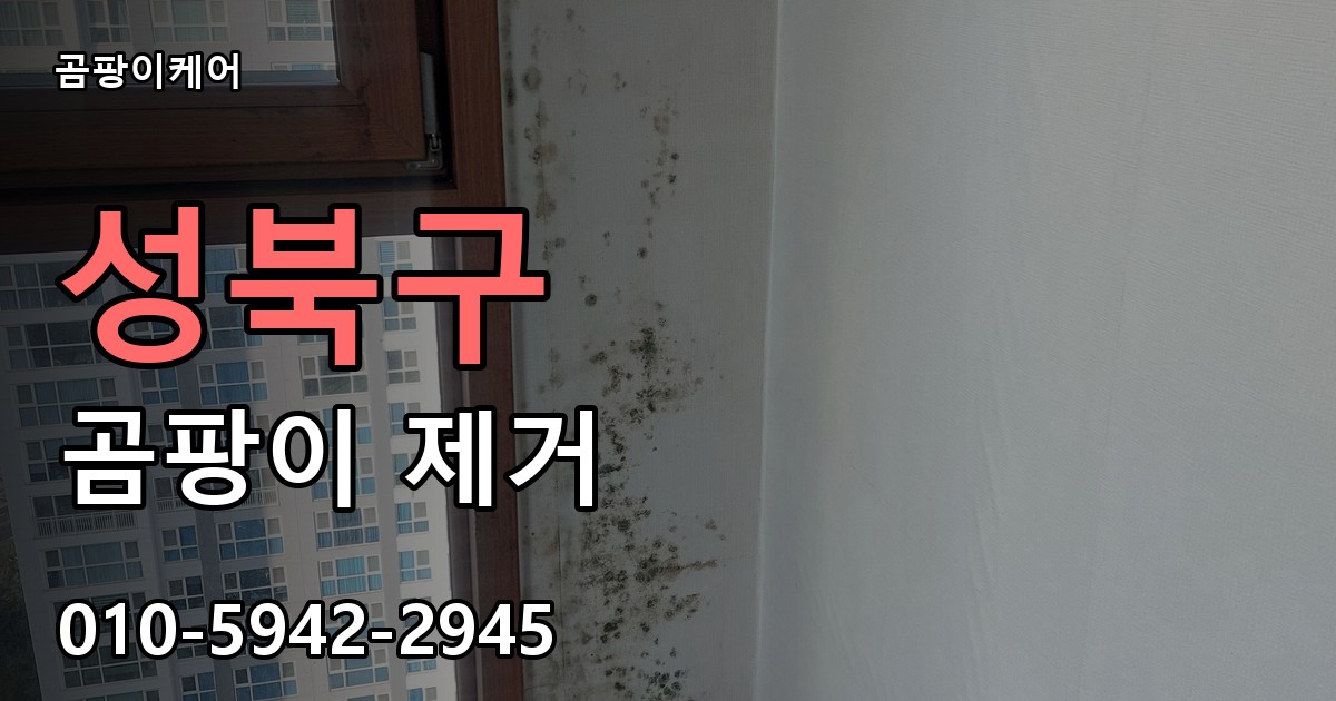 성북구 곰팡이제거 — 곰팡이케어