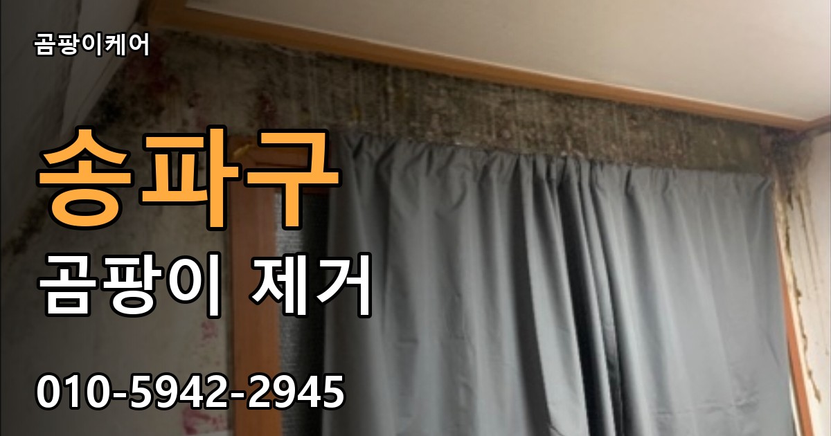 송파구 곰팡이제거 — 곰팡이케어