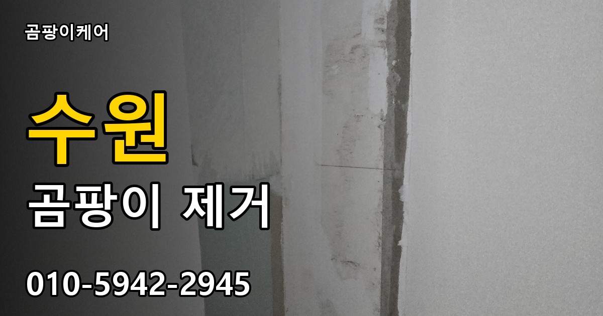 수원 곰팡이제거 — 곰팡이케어