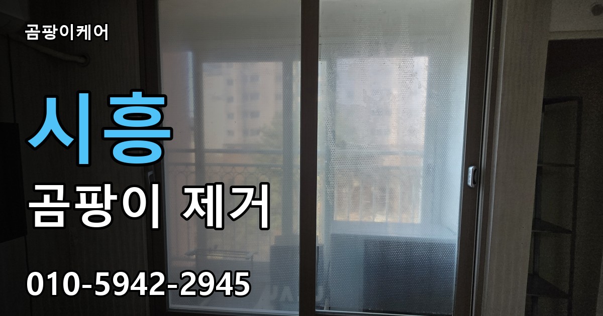 시흥 곰팡이제거 — 곰팡이케어