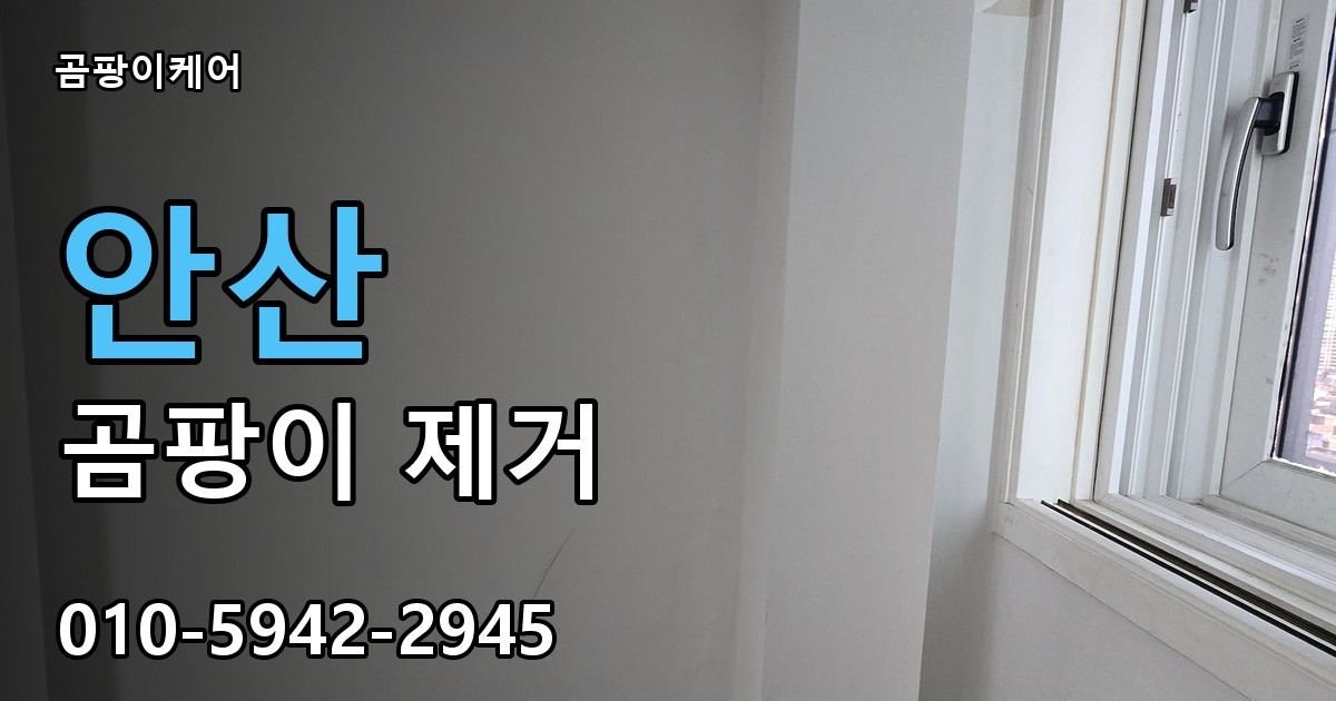 안산 곰팡이제거 — 곰팡이케어