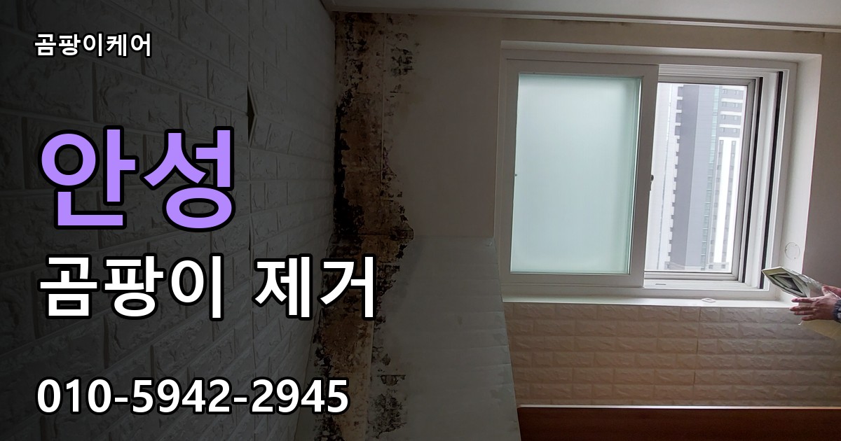 안성 곰팡이제거 — 곰팡이케어