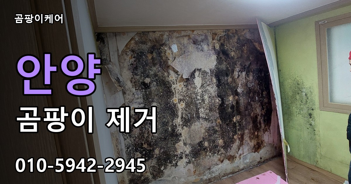 안양 곰팡이제거 — 곰팡이케어