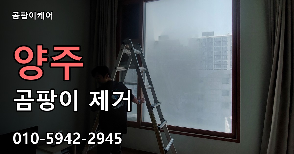 양주 곰팡이제거 — 곰팡이케어