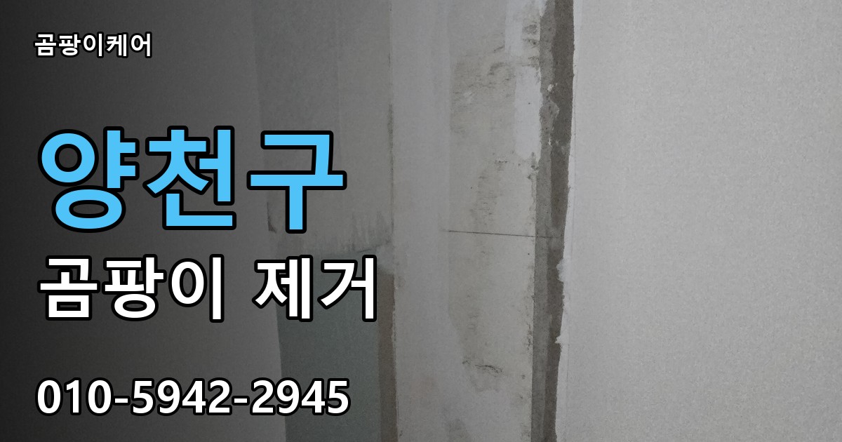 양천구 곰팡이제거 — 곰팡이케어
