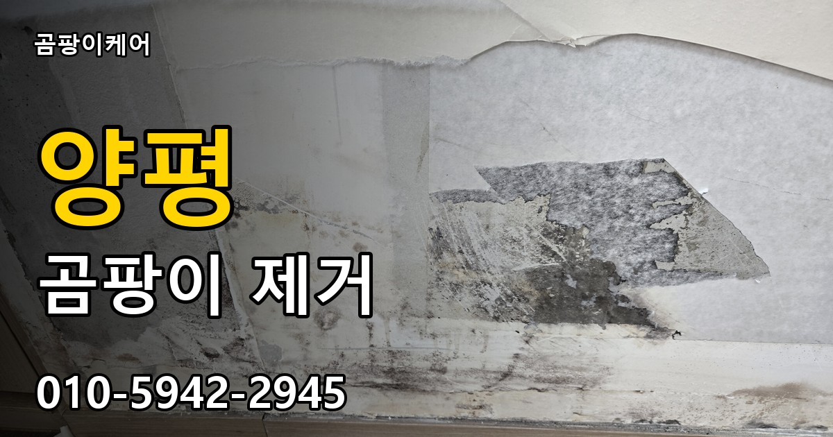 양평 곰팡이제거 — 곰팡이케어