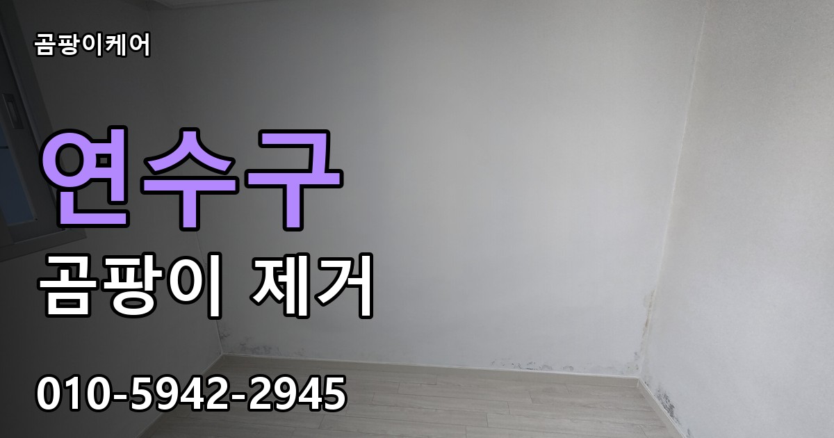 연수구 곰팡이제거 — 곰팡이케어