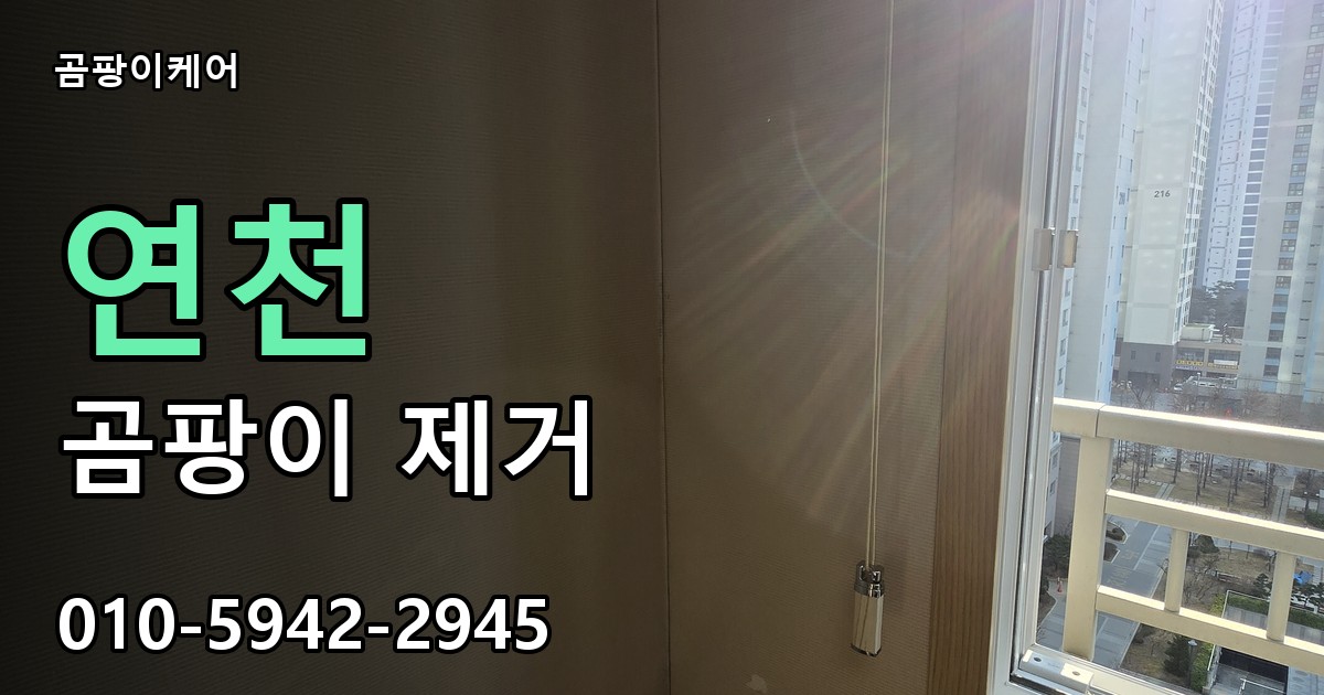 연천 곰팡이제거 — 곰팡이케어