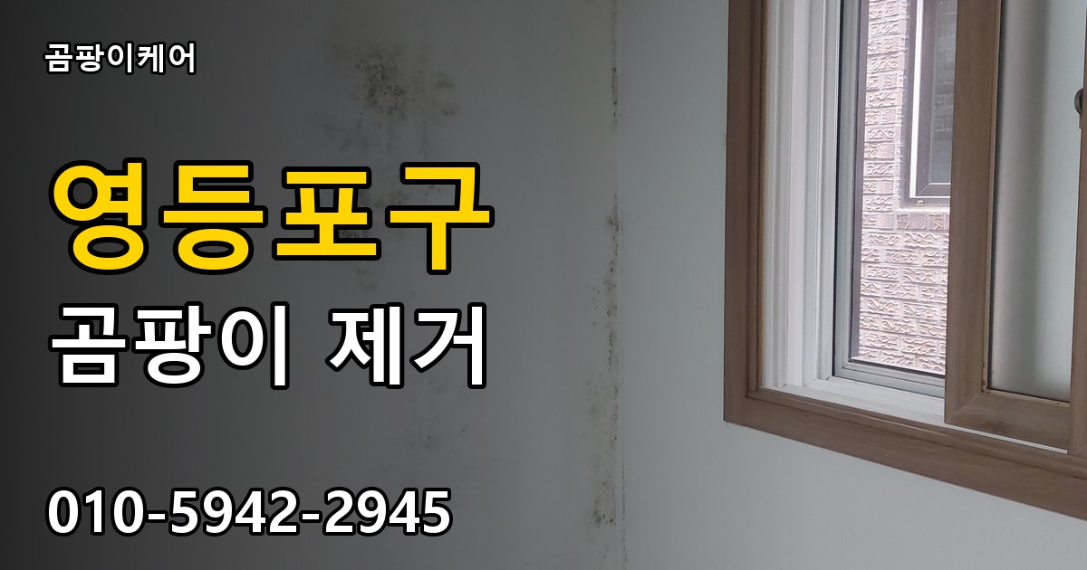 영등포구 곰팡이제거 — 곰팡이케어