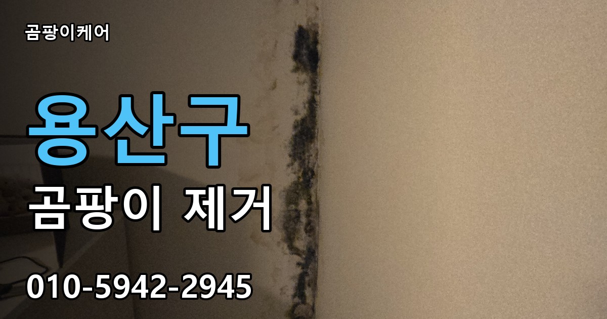 용산구 곰팡이제거 — 곰팡이케어