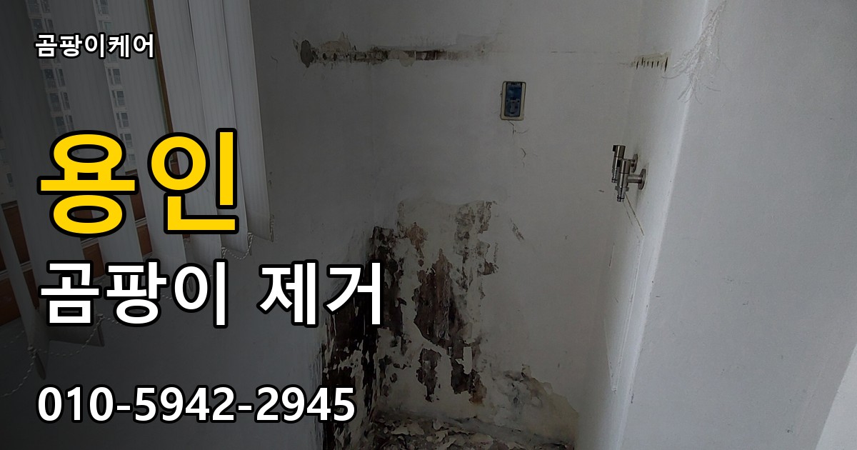 용인 곰팡이제거 — 곰팡이케어