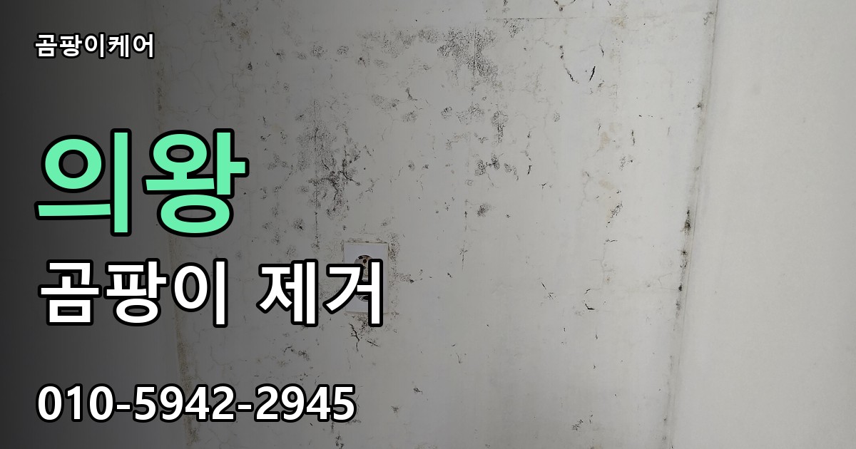 의왕 곰팡이제거 — 곰팡이케어