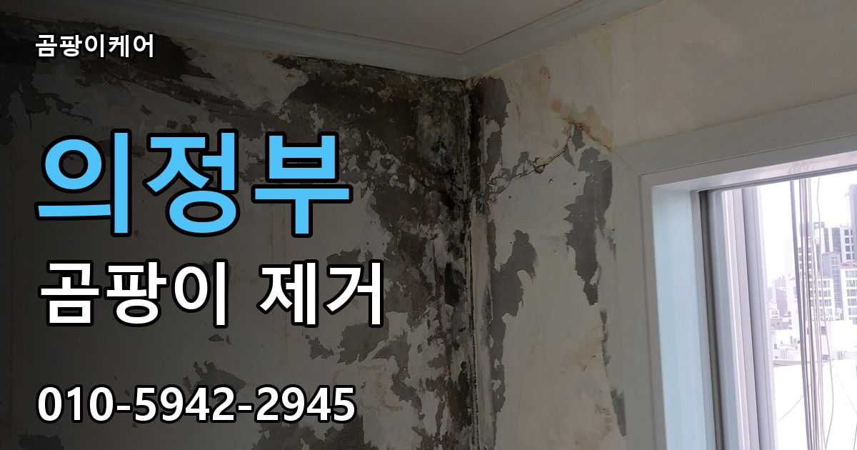 의정부 곰팡이제거 — 곰팡이케어
