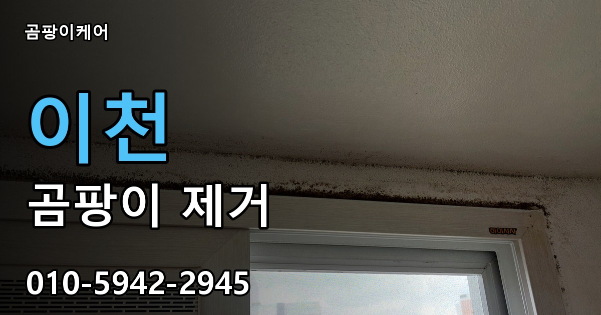 이천 곰팡이제거 — 곰팡이케어