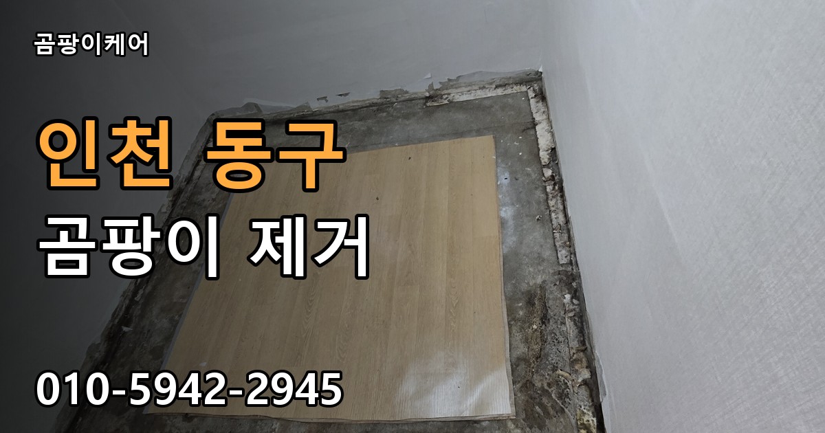 인천 동구 곰팡이제거 — 곰팡이케어