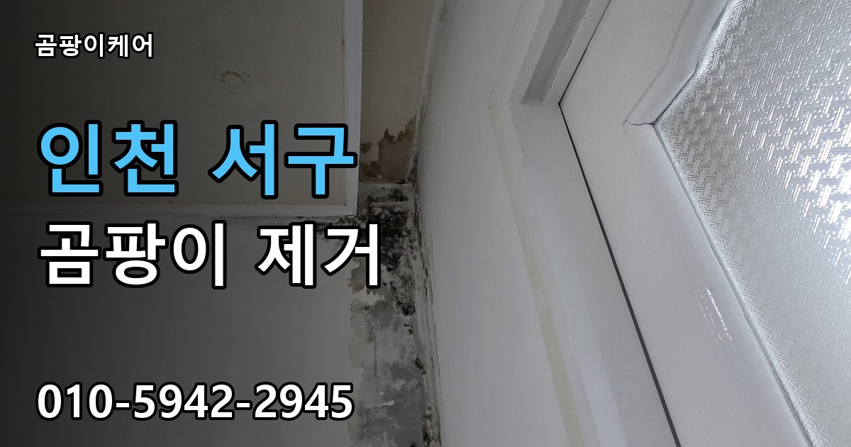 인천 서구 곰팡이제거 — 곰팡이케어