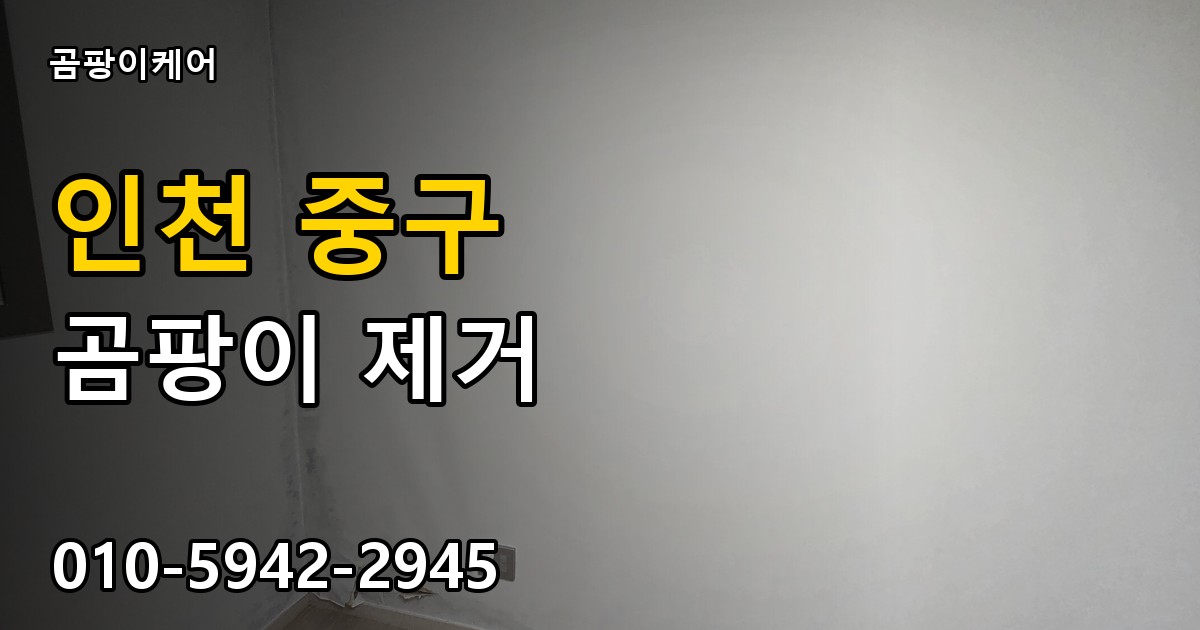 인천 중구 곰팡이제거 — 곰팡이케어