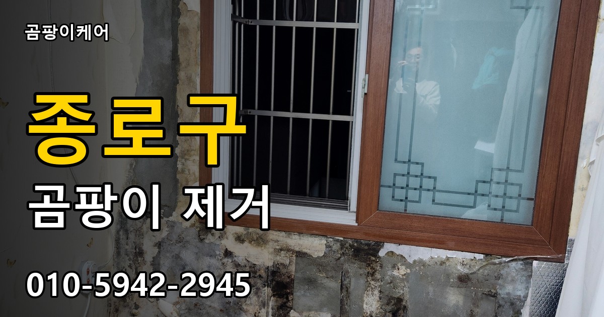 종로구 곰팡이제거 — 곰팡이케어