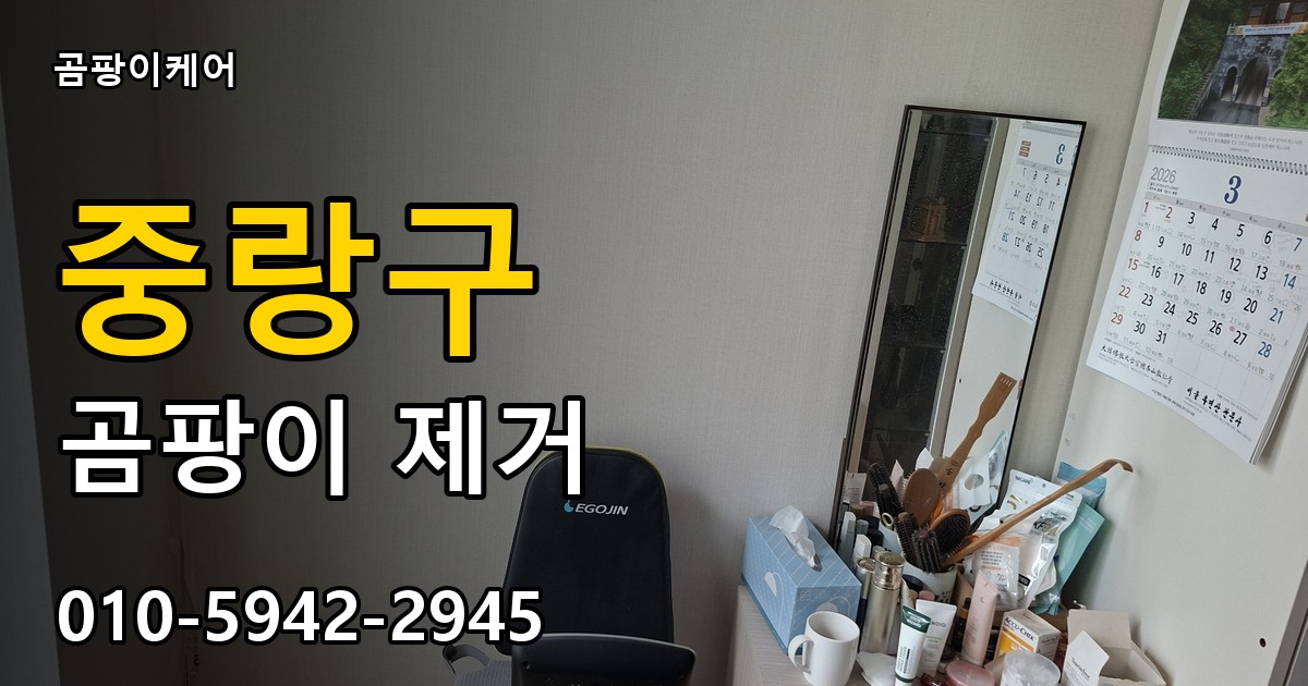 중랑구 곰팡이제거 — 곰팡이케어