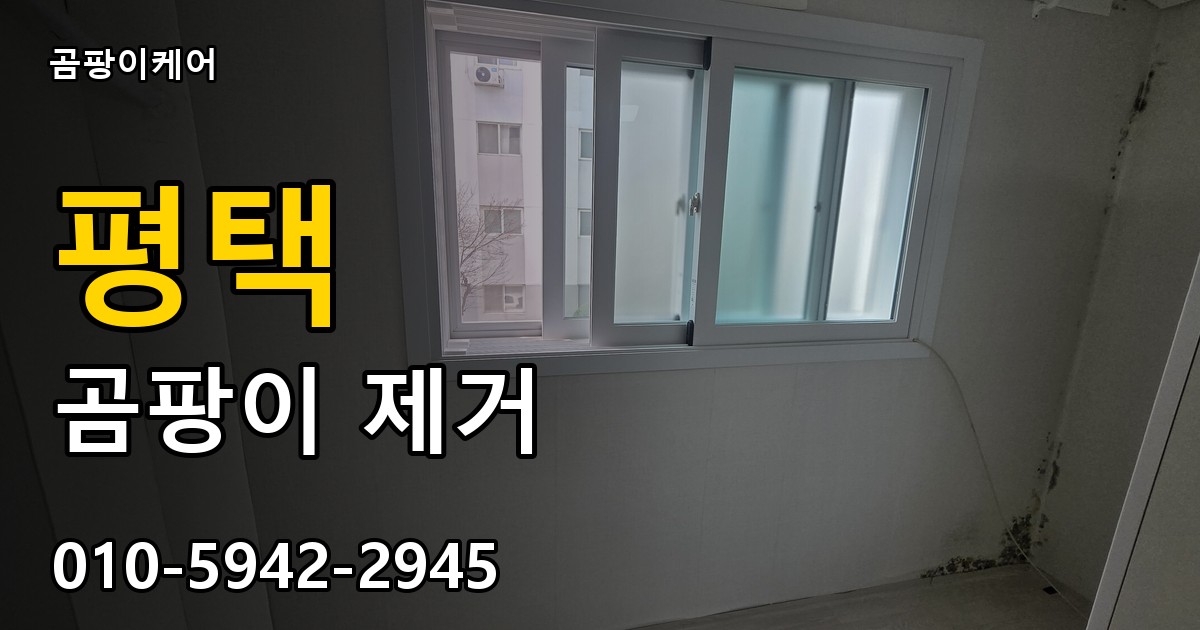 평택 곰팡이제거 — 곰팡이케어