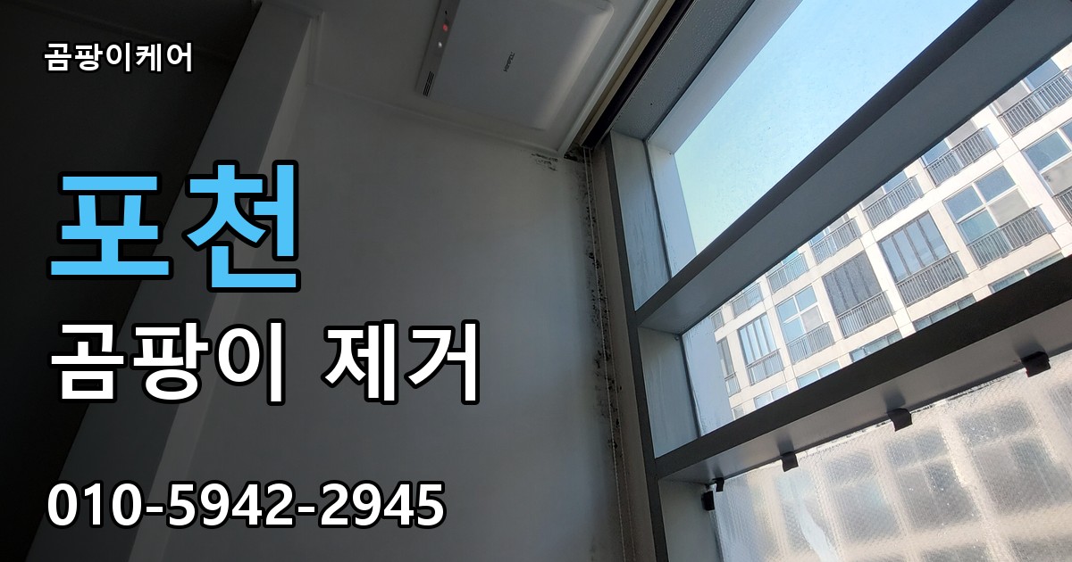 포천 곰팡이제거 — 곰팡이케어